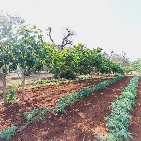 Trullo Isabella Ланчиано