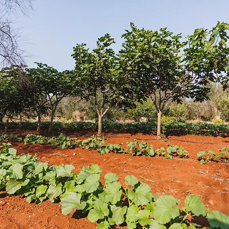 Дом отдыха Trullo Isabella *