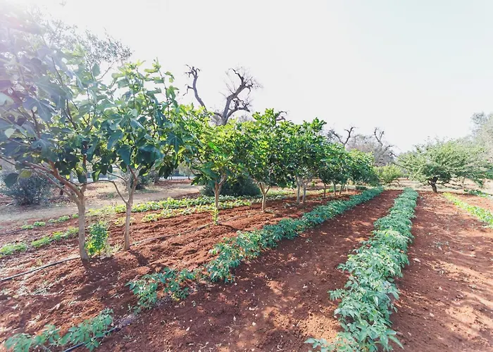 Trullo Isabella ランチャーノ