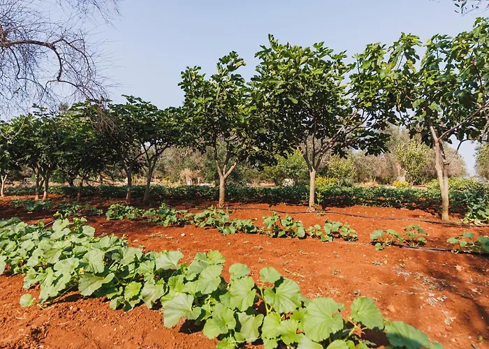 別荘 Trullo Isabella *